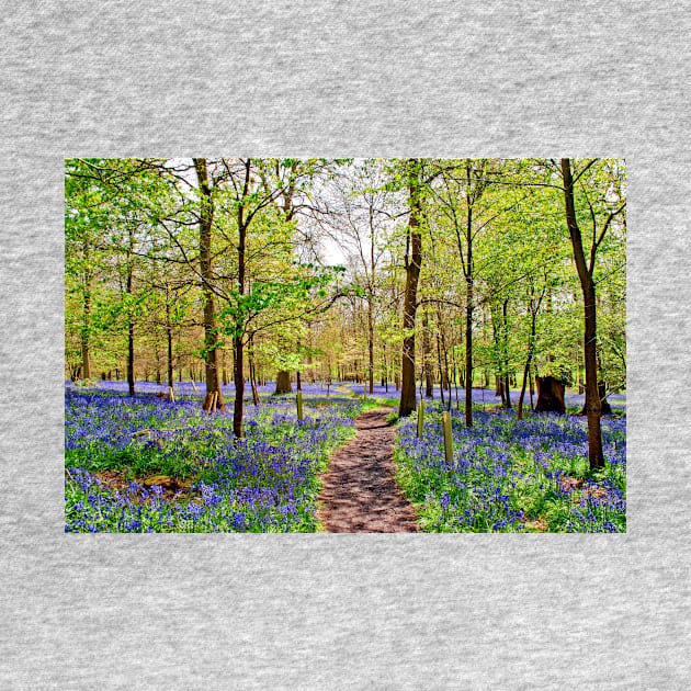 Bluebell Woods Greys Court England UK by AndyEvansPhotos